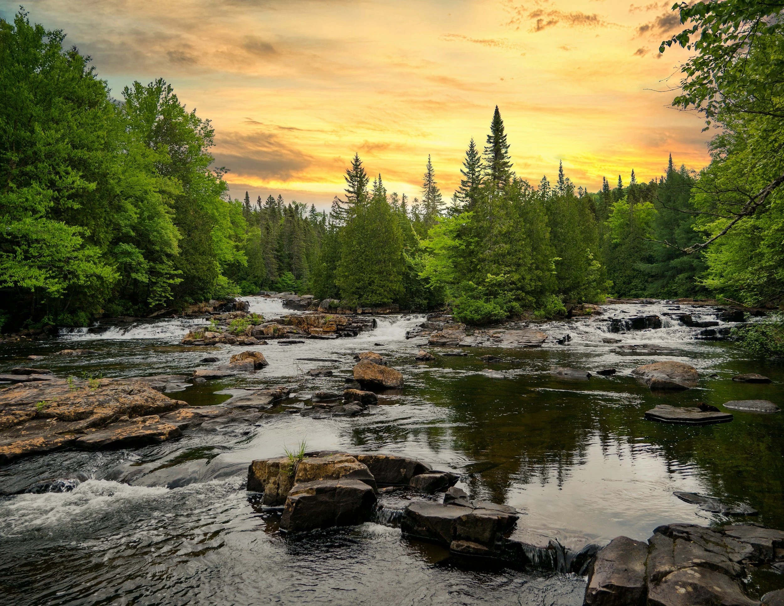 A peaceful natural landscape reflecting the foundation's mission