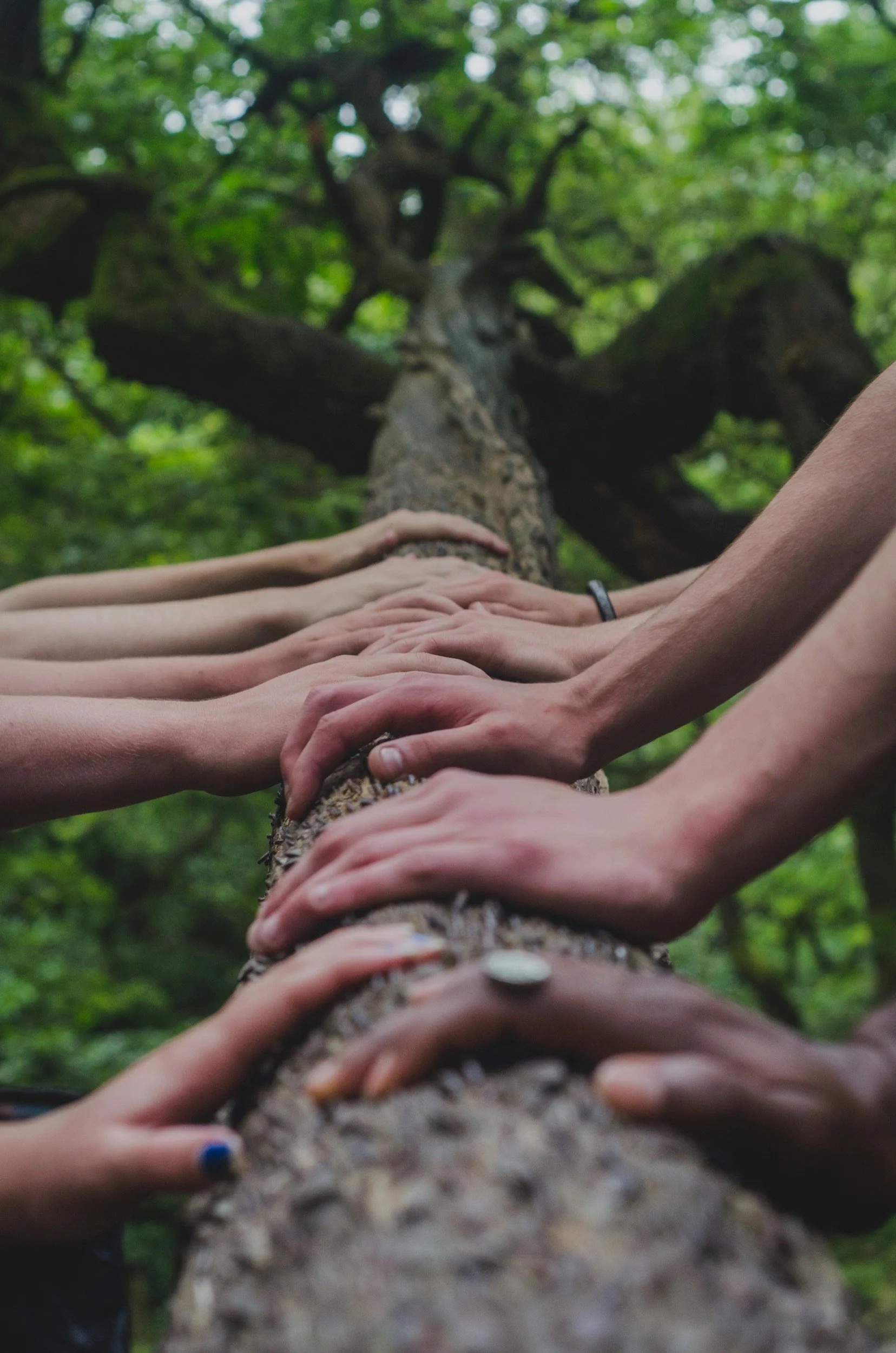 Hands-on conservation work in nature